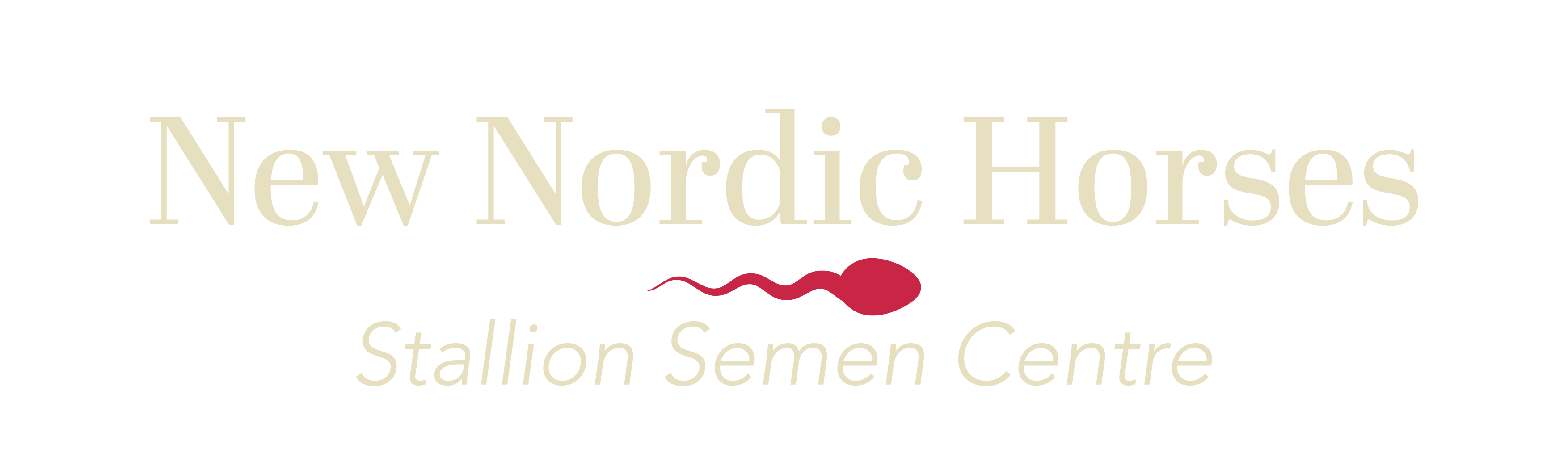 New Nordic Horses